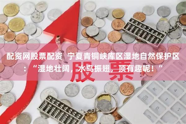 配资网股票配资  宁夏青铜峡库区湿地自然保护区：“湿地壮阔，水鸟振翅，顶有趣呢！”