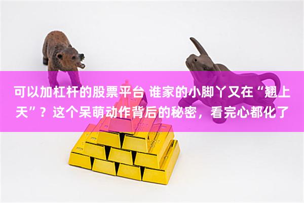 可以加杠杆的股票平台 谁家的小脚丫又在“翘上天”？这个呆萌动作背后的秘密，看完心都化了